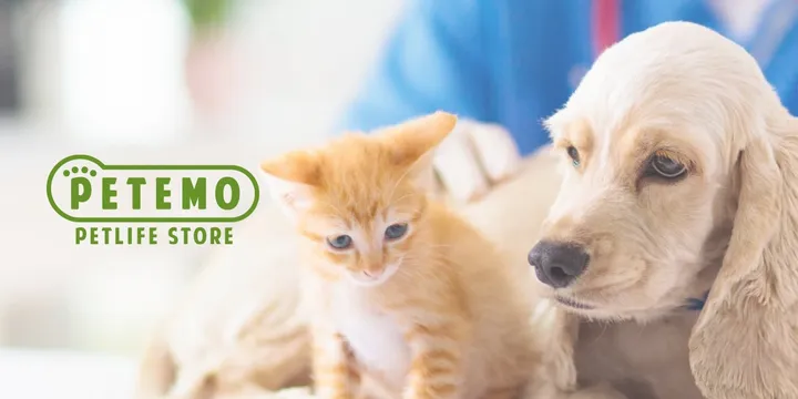 動物病院サイト